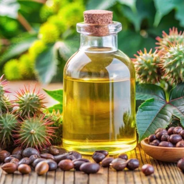Castor Oil Bulk Suppliers