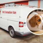 mobile vet euthanasia cost