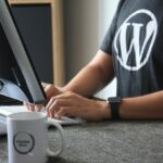 wordpress developer