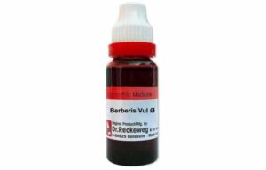 Berberis Vulgaris Q Uses in Hindi
