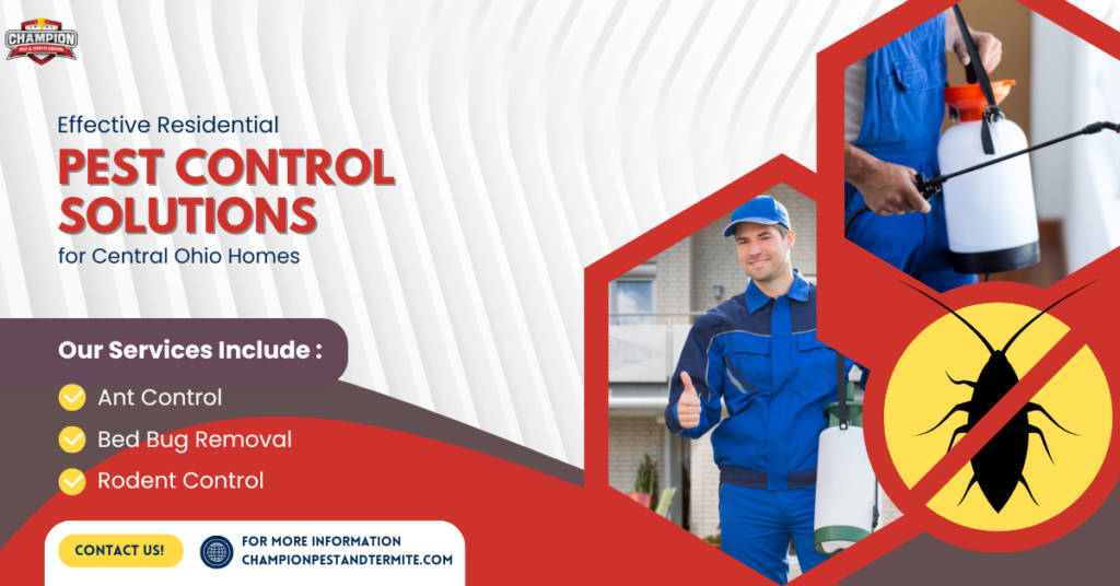 Effective Residential Pest Control Solutions for Central Ohio Homes