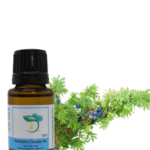 Juniper Berry Essential Oil