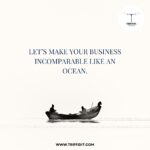 Seo Services For Ecommerce