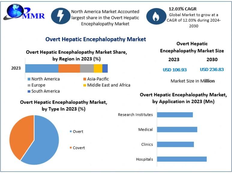 Overt Hepatic Encephalopathy Market