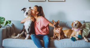 Pet sitting services