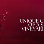 Single Vineyard Wine