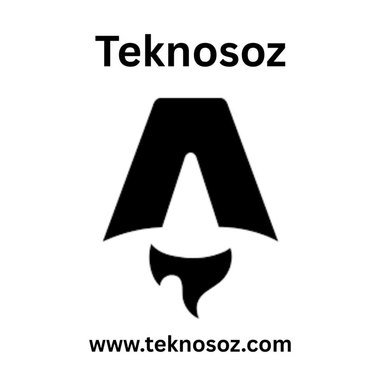 Boost Efficiency with Custom Software solutions by Teknosoz
