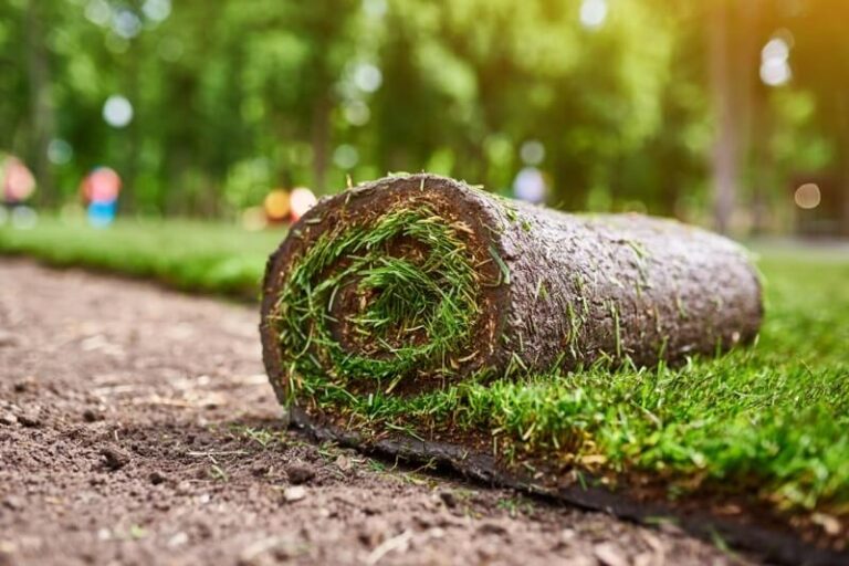 Landscaping Services Sydney