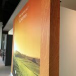 Wall Graphics San Diego