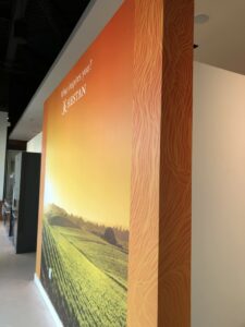 Wall Graphics San Diego