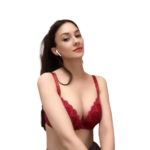 escort service in sector 19 gurgaon