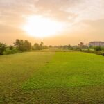 omaxe super corridor