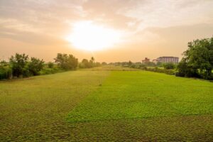 omaxe super corridor