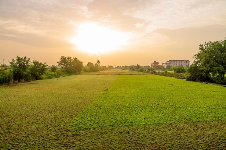 omaxe super corridor