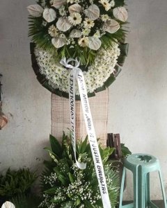 1005-364225057-312582311169923-8890502449180473456-n