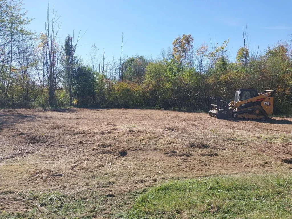 brush clearing services