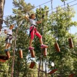 AdobeStock_391034603-scaled