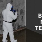 Where Can I Find Reliable Black Mold Testing Near Me