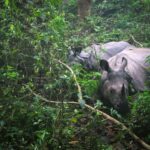 Chitwan National Park 5