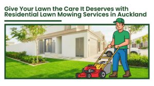 Residential lawn mowing services in Auckland with professional gardener cutting green grass in modern home garden
