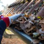 Gutter Cleaning in Elsternwick