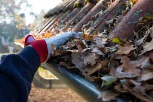 Gutter Cleaning in Elsternwick