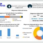 Magnesium-Hydroxide-Market-1 (1)