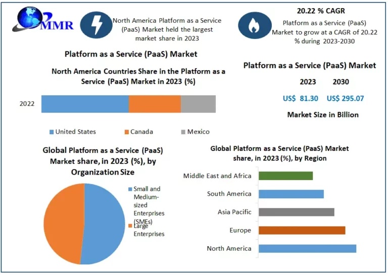 Platform-as-a-Service-PaaS-Market-768x545 (1)