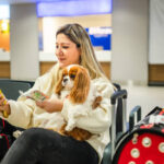 Professional Dog Boarding