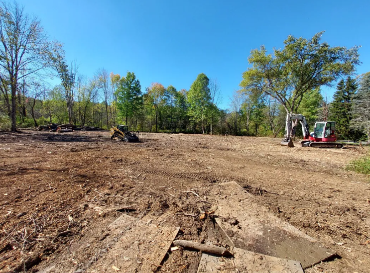 forestry mulching contractors