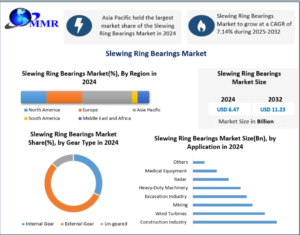 Slewing Ring Bearings Market