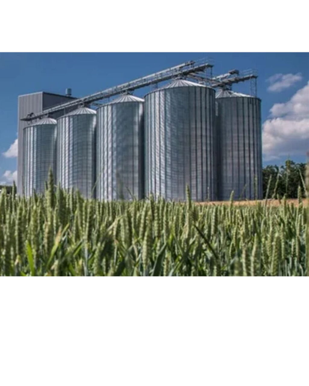 Industrial storage system with cement silo tank and bulk material handling equipment