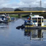 compressed_image-2024-08-07T101737.443