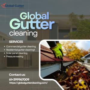global gutter cleaning (2)