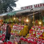 Gift Shops in Islamabad
