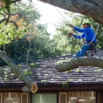 emergency tree pruning honolulu hi