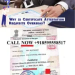 Degree Certificate Apostille in Karnataka