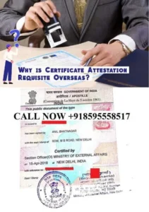 Degree Certificate Apostille in Karnataka