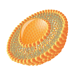 Liposomal Vitamins 