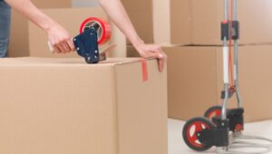 packers-and-movers-churchgate