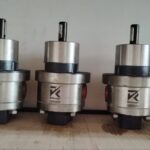 SS rotary gear pump manufacturer