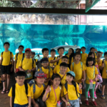 tuition centre singapore