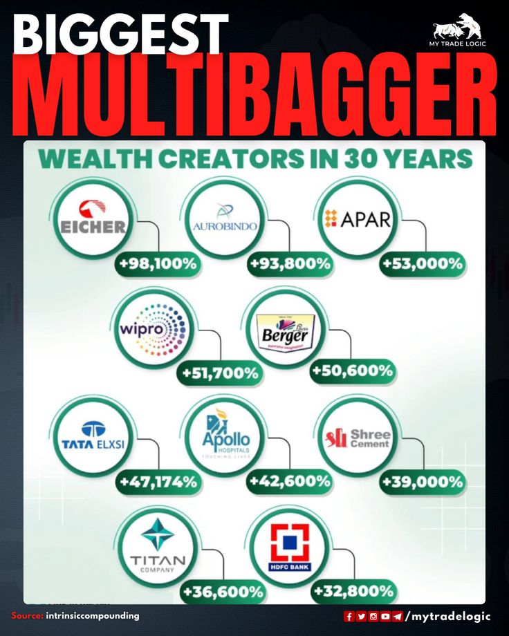Best multibagger stocks in India with strong earnings growth financial analysis long-term wealth creation insights 2026