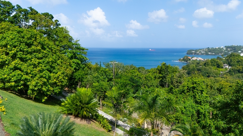 st. lucia vacation rentals