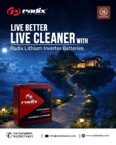 inverter battery