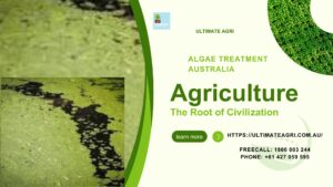 Algae treatment Australia