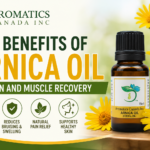 Arnica Oil