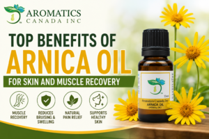 Arnica Oil