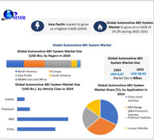 Automotive 48V System Market