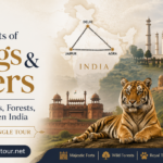 Footprints of Kings and Tigers: A Rail of Forts, Forests, and Forgotten India